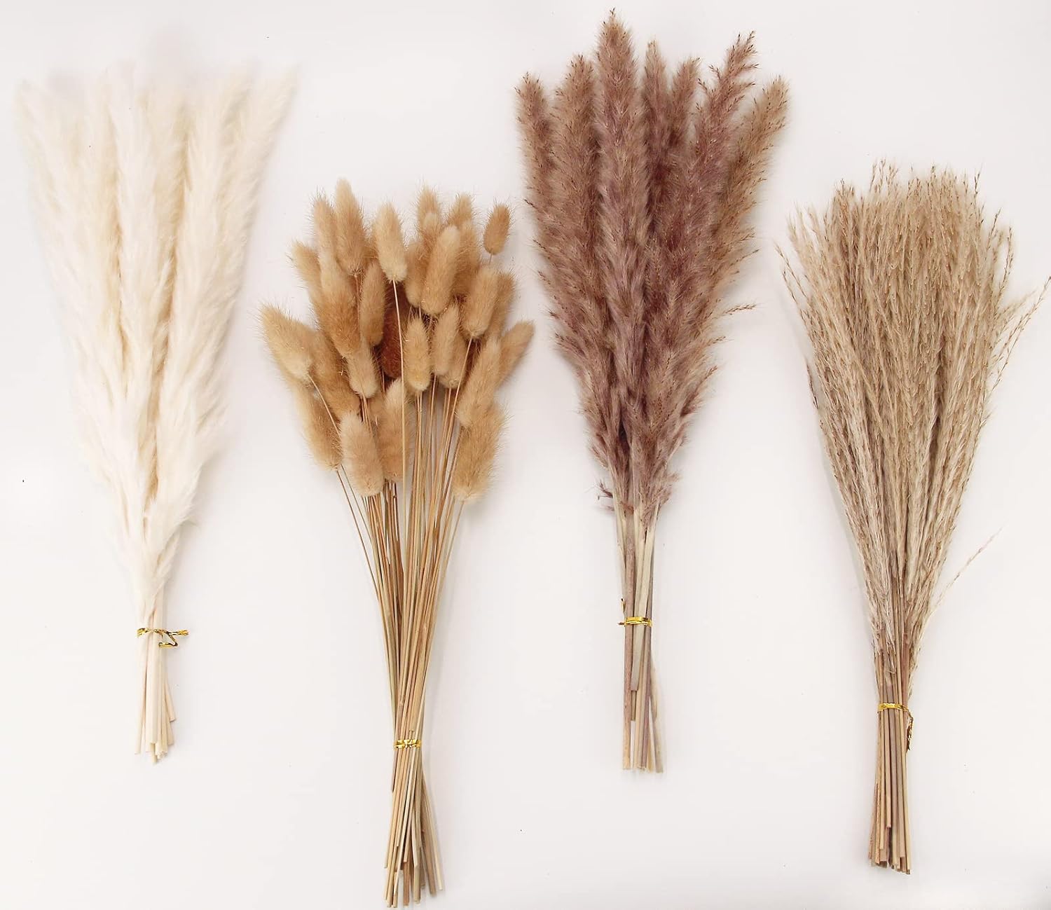 Dried pampas grass and bunny tail stems